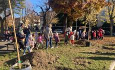 Festa degli alberi a Parma