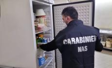Controlli dei Nas: sequestrati 9 chili di alimentari in un bar di Parma, multa da 2mila euro