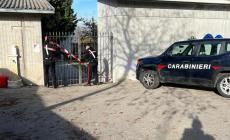 Spunta una bomba a mano nel cimitero: intervengono carabinieri ed esercito sull'Appennino reggiano