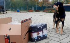 Uno scatolone di pile nuovi per il canile "Lilli e il Vagabondo" da un donatore anonimo: "Grazie, i nostri ospiti 4 zampe apprezzeranno"