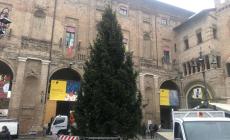 Piazza Garibaldi, è arrivato l'Albero di Natale - Foto 