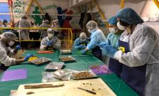 A Parma (Centro Sociale il Tulipano) ecco i primi anolini solidali - Le foto