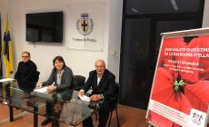 Ail, tornano le stelle di Natale per sostenere la ricerca e la cura delle leucemie - Video
