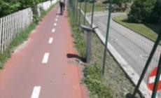 "Stradello Baia del re, un vero pericolo"