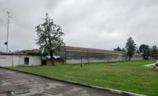 "Desolazione a Corcagnano, perch&eacute; non piantare qualche albero vicino all'asilo ?