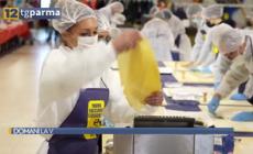 In vendita gli anolini "inclusivi"