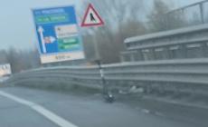 Monopattino parcheggiato in tangenziale - Foto 