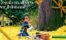 A Natale “Regala un albero per il domani” con la campagna GoFundMe