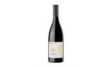 Hofstätter Pinot Nero Michei di Michei 2020: tripudio di vinosità morbida e sinuosa
