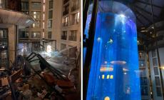 Berlino, esplode enorme acquario con 1500 pesci tropicali