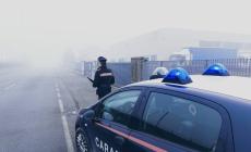 Una donna con il suo cagnolino aggrediti da un rottweiler:  chiama il 112 e i carabinieri la mettono in salvo