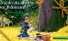 KilometroVerdeParma: a Natale &ldquo;Regala un albero per il domani&rdquo; con la campagna GoFundMe