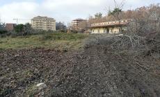 Ex Castelletto, la denuncia degli ambientalisti: "La scuola nel parco... che non c'&egrave; pi&ugrave;"