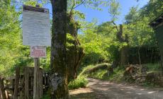 Miniere Corchia, gli ambientalisti: "La Regione respinga la richiesta di ricerca mineralogica"