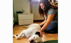 L'osteopata per ridurre  dolori e fobie degli animali