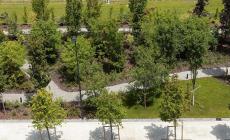 Oltre 7mila tra alberi e arbusti per rendere più sostenibili 7,3 ettari di terreni aziendali: il risultato del bando della Regione