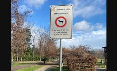 Divieto d'accesso ai cani al parco Bizzozero: "Per entrare all'area di sgambamento presente dentro al parco, volano?"