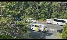 Il koala attraversa la strada, un uomo lo scorta bloccando il traffico - Video