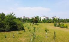 Sei  progetti finanziati da Regione Emilia-Romagna grazie al Consorzio Forestale KilometroVerdeParma