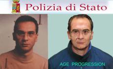 Matteo Messina Denaro arrestato. Meloni: "Non ci arrendiamo alla mafia, vittoria dello Stato"