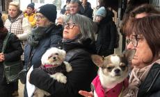 Benedizione degli animali, don Cocconi: "Ascoltare loro è ascoltare il grido della Terra" - Foto