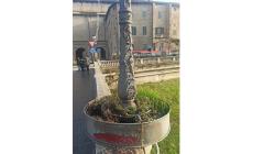 "Ponte Verdi, fioriere abbandonate all'incuria"