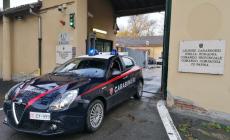 Controlli in 8 esercizi commerciali in città: due lavoratori in nero.  Oltre 6000 euro di multa al titolare, attività sospesa