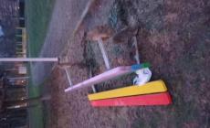 Vandali al Parco del dono in via Bizzozero
