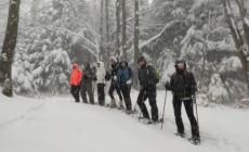 Continua a nevicare: scatti dall'Appennino imbiancato. A Schia prima ciaspolata (degli esperti) nei boschi - Gallery