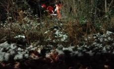 Lesignano, cade con l'auto in una scarpata: intervengono i vigili del fuoco di Langhirano