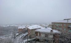 Neve anche in collina e appena fuori città:  Collecchio,  Langhirano,  Sala, Felino e Salso imbiancate. Ed è allerta meteo per domani
