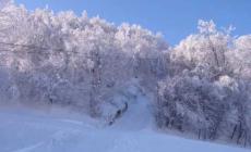 Scomparsa in Appennino riminese dopo la nevicata di ieri
