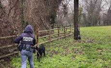 Barak non sbaglia: e scova 170 grammi di hashish al parco Falcone e Borsellino