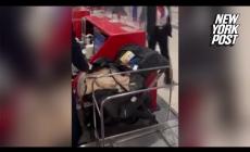 All'aeroporto senza biglietto per il figlio neonato:  lo abbandonano al check-in per non perdere il volo - Video