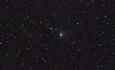 L'astro-gazzareporter ha fotografato la cometa di Neanderthal... sul cielo di Vicofertile