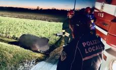 Due incidenti oggi nella Bassa: in serata auto fuori strada a Spigarolo. Traffico bloccato
