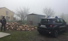 Truffa della legna, ne ordina 50 quintali online, ma gliene consegnano 20: presi  dai carabinieri i due "venditori"