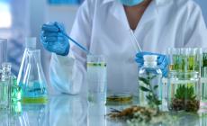 Una farmacia nell'orto di casa, usare le piante per curarsi