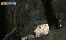 "Un camionista ha visto una mano spuntare dalla coperta" - Video