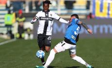 Parma - Ascoli, ecco le foto della partita