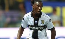Vigilia di Parma-Empoli, Pecchia "felice e fiero per il rinnovo" ritrova  Coulibaly