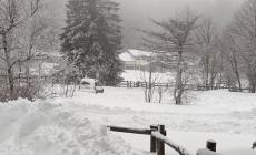 A Lagdei ... "total white": caduti dai 30 ai 50 centimetri di neve - Foto 