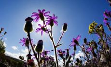 Da martedì maltempo in Triveneto ma domenica delle Palme e Pasqua con il sole al nord