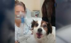 "Fatemi rivedere il mio Lapo un'ultima volta":  e il cane entra in ospedale per l'addio alla sua padrona - Video