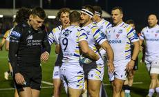 Zebre Parma e Libera Rugby Club fanno squadra contro l'omolesbobitransfobia
