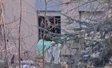 Panoramik, lenzuola sulle finestre: chi ci vive?