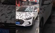 Piovono vermi dal cielo, allarme in Cina. Ma il fenomeno &egrave; spiegabile... - Video