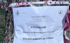"Cinghio sud, apprensione fra i residenti per il pericolo di bocconi avvelenati"