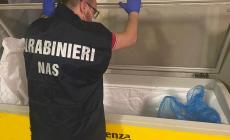 Controlli dei Nas nelle mense scolastiche: una multa da mille euro in provincia di Parma