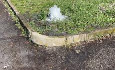 "Acqua, che spreco al parco Falcone e Borsellino". Rapido intervento dei tecnici